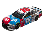#18 Kyle Busch - NASCAR Heat 2