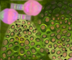 Glowing Plants (2/3) - Giana Sisters: Twisted Dreams