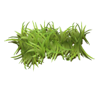 Grass - Giana Sisters: Twisted Dreams