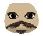 Sack Sparrow Skin - LittleBigPlanet
