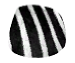 Zebra - LittleBigPlanet