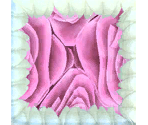 Rose Basket - LittleBigPlanet