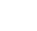Surrender Flag - New Super Mario Bros. 2