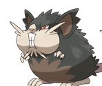 #020 Alolan Raticate - Pokémon: Let's Go, Pikachu! / Eevee!