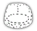 Dotted Line - LittleBigPlanet Karting