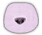 Poodle Fur - LittleBigPlanet Karting
