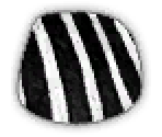 Zebra - LittleBigPlanet Karting