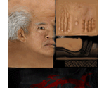 Cobra Marital Arts Sensei - Grand Theft Auto: San Andreas