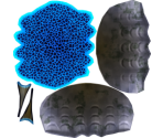 Leopard Giant Clam - Megaquarium