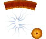 Fish Eating Anemone - Megaquarium