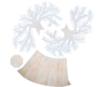 Frilled Anemone - Megaquarium