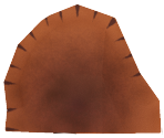 Pie Crust Crab - Megaquarium