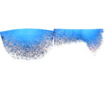 Common Lobster - Megaquarium