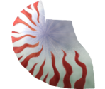 Nautilus - Megaquarium