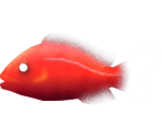 Humpback Snapper - Megaquarium