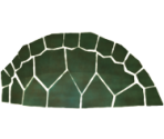 Green Turtle - Megaquarium