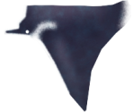 Manta Ray - Megaquarium