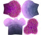 Sun Montipora - Megaquarium