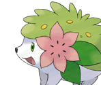 #027 Shaymin - New Pokémon Snap