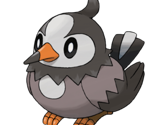 #034 Starly - New Pokémon Snap