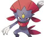 #159 Weavile - New Pokémon Snap