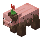 Muddy Pig - Minecraft Earth