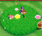 Piranha Patch - Mario Party 9