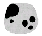 Dalmatian Spots - LittleBigPlanet 2