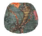Floral Brocade - LittleBigPlanet 2