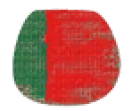 Portuguese Fan Facepaint - LittleBigPlanet 2