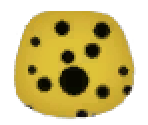 Pufferfish Skin - LittleBigPlanet 2