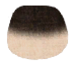 Siamese Fur - LittleBigPlanet 2