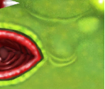 Chompy - Skylanders: Spyro's Adventure
