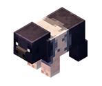 Sooty Pig - Minecraft Earth