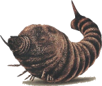 Mothra (Larva) - Godzilla: Save the Earth