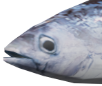 Fish - WarioWare: Smooth Moves