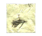 Artisan Paper - LittleBigPlanet 2