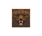 Kuma - Tekken 2