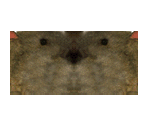 Roger - Tekken 2