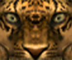 King - Tekken 3