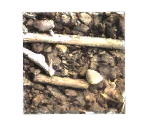 Soil - LittleBigPlanet 2