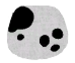 Dalmatian Spots - LittleBigPlanet PS Vita