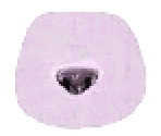 Poodle Fur - LittleBigPlanet PS Vita