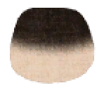 Siamese Fur - LittleBigPlanet PS Vita