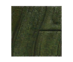 Tree Bark - Light - LittleBigPlanet 2