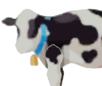 Cow - WarioWare Gold