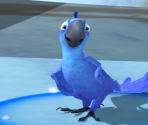 Blu - Rio