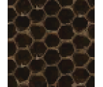 Bee Comb - LittleBigPlanet PS Vita