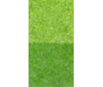 Island Grass - Wii Sports Resort