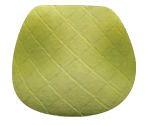 Dinosaur Skin - LittleBigPlanet 3